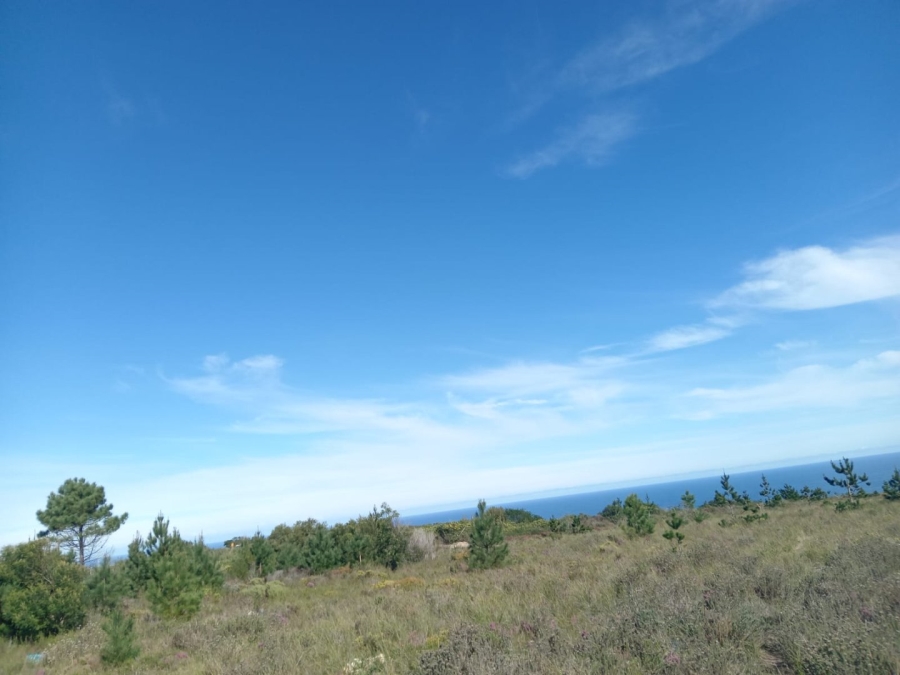 Commercial Property for Sale in Kranshoek AH Western Cape